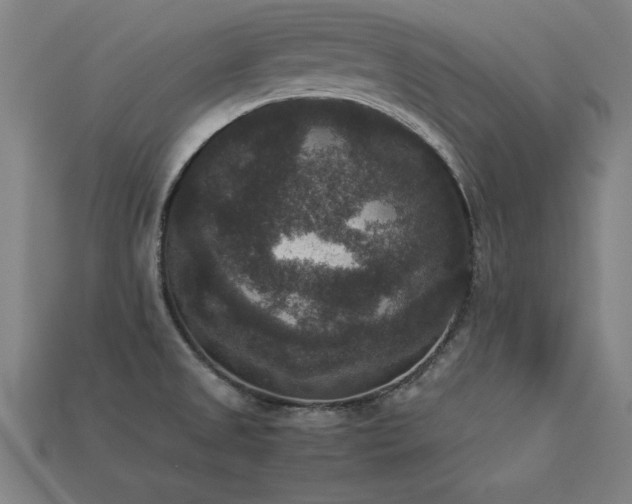 X0000113951525200909251328