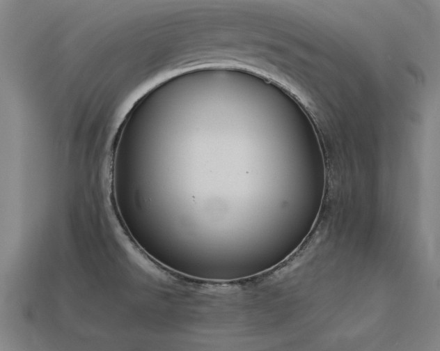 X0000113951526200909251328