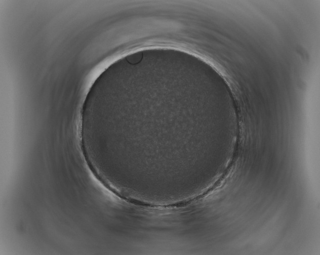 X0000113951527200909251328
