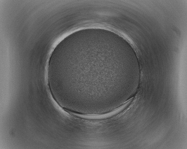 X0000113951528200909251328