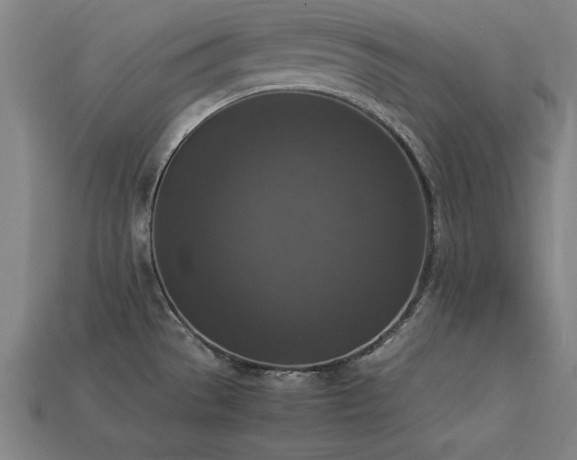 X0000113951529200909251328