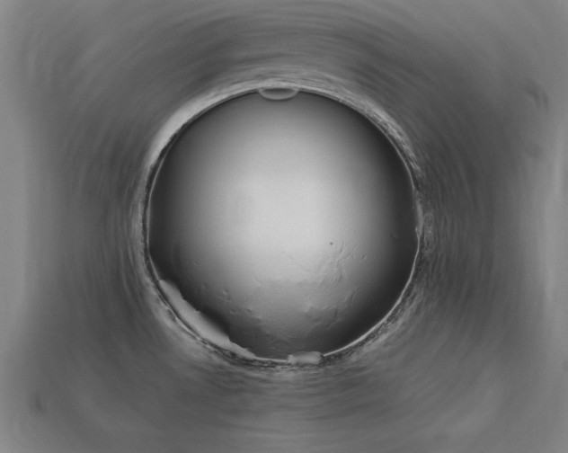 X0000113951530200909251328