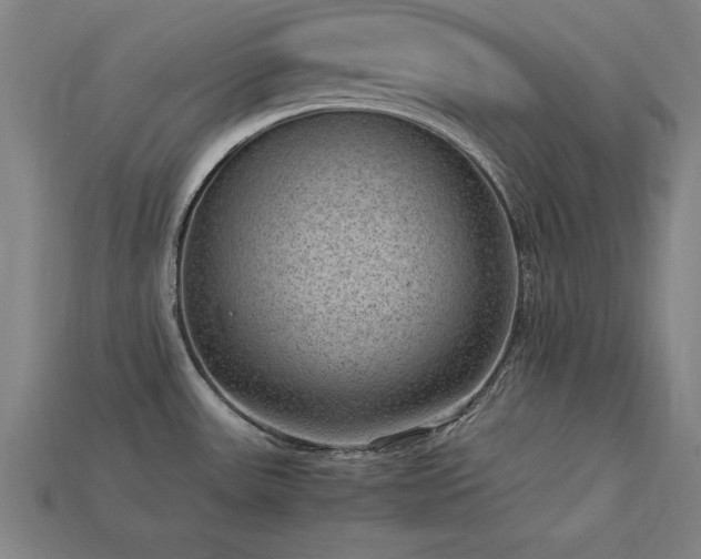 X0000113951531200909251328