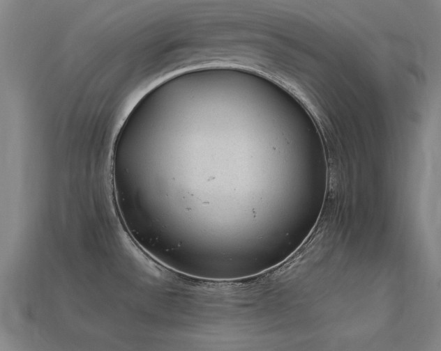 X0000113951532200909251328