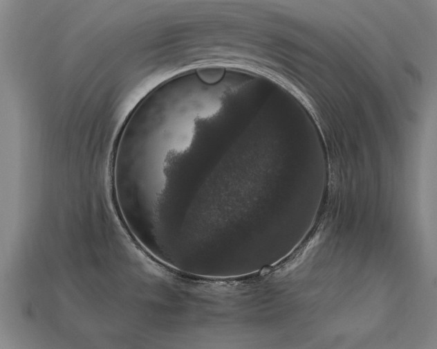 X0000113951533200909251328