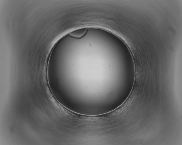 X0000113951534200909251328