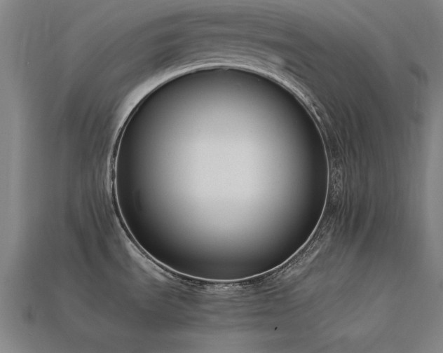 X0000113951535200909251328