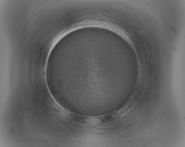 X0000113951536200909251328