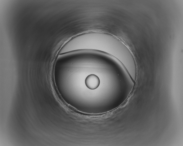 X0000113950001200910021515