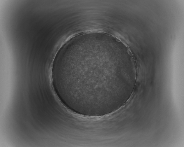 X0000113950002200910021515