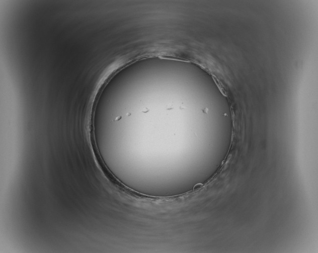 X0000113950003200910021515