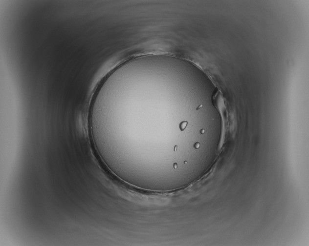 X0000113950004200910021515