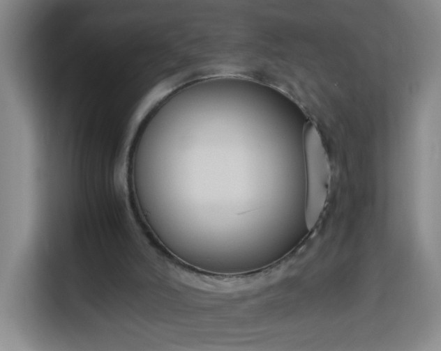 X0000113950006200910021515