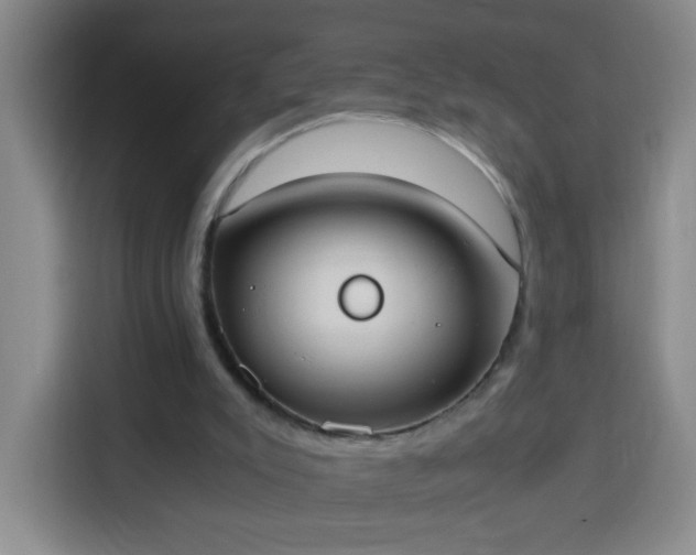 X0000113950007200910021515