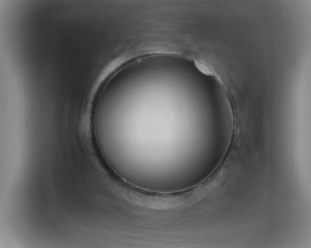 X0000113950008200910021515