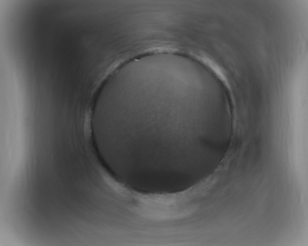 X0000113950009200910021515