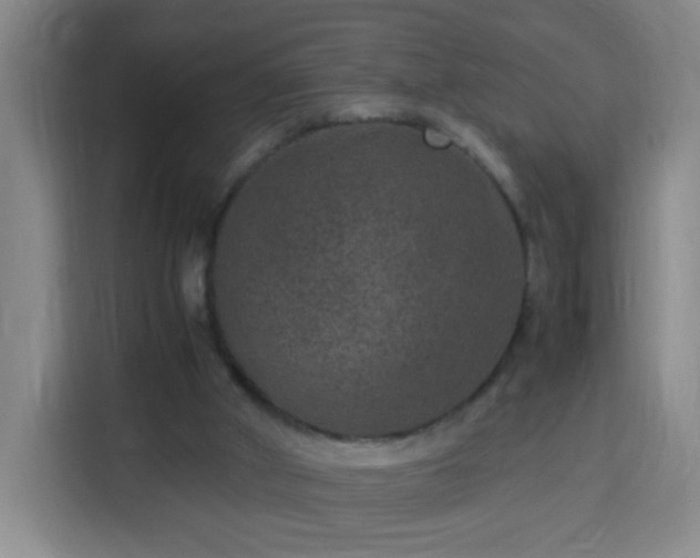 X0000113950010200910021515