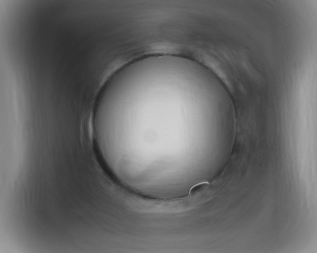 X0000113950011200910021515