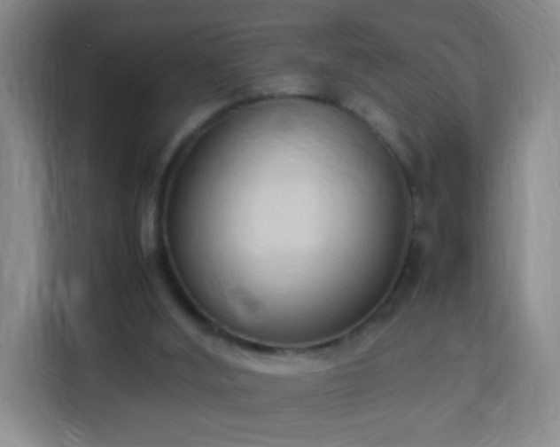 X0000113950012200910021515
