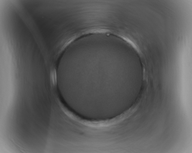 X0000113950013200910021515