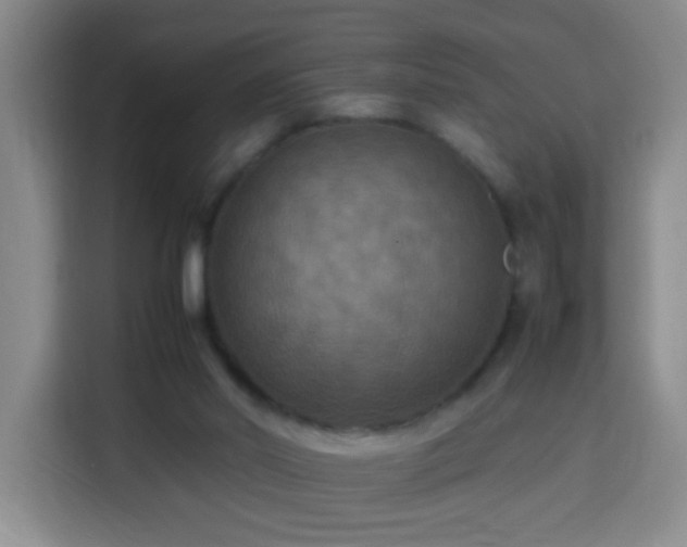 X0000113950014200910021515