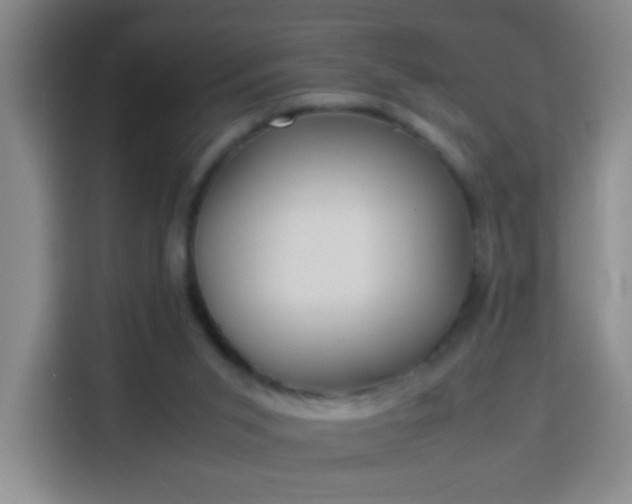 X0000113950015200910021515