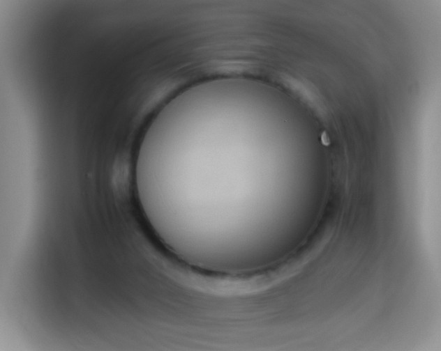 X0000113950016200910021515