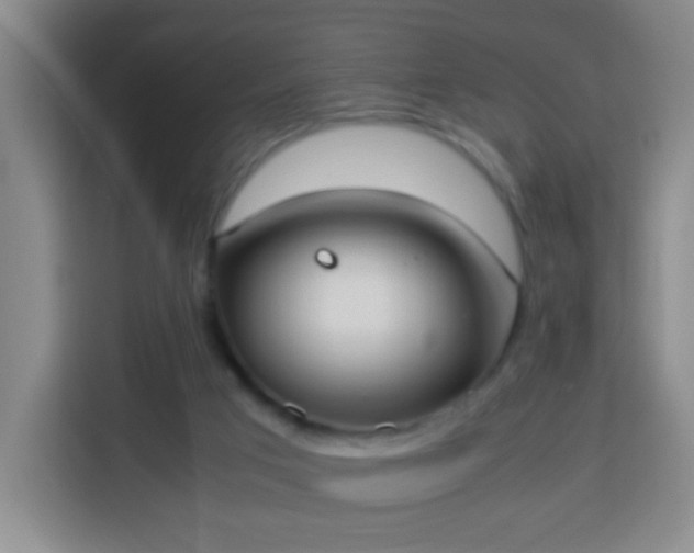 X0000113950017200910021515