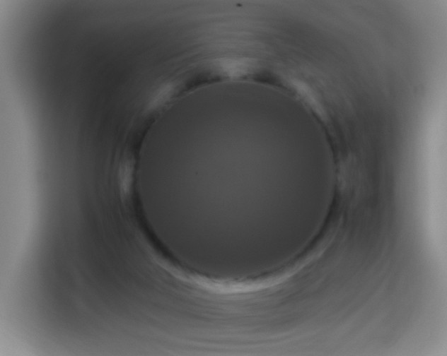 X0000113950018200910021515