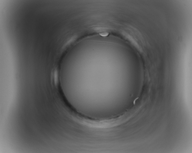X0000113950019200910021515