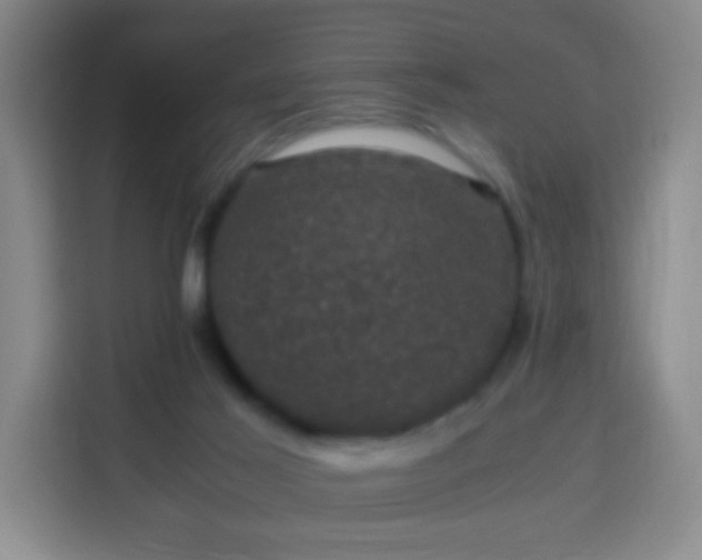 X0000113950021200910021515