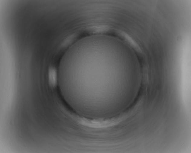 X0000113950022200910021515