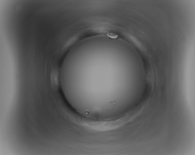 X0000113950023200910021515