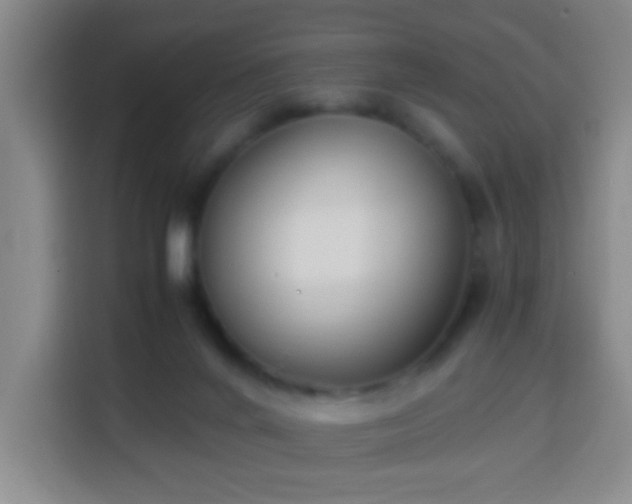 X0000113950024200910021515
