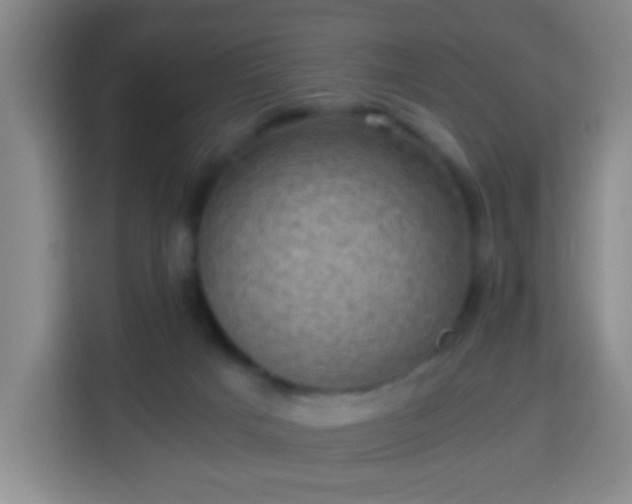 X0000113950025200910021515
