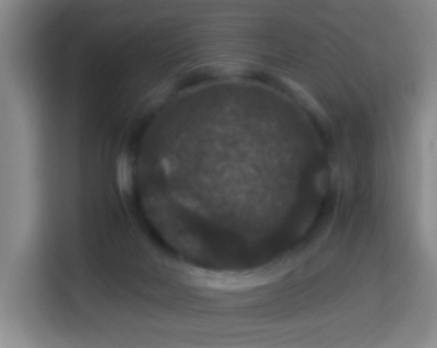 X0000113950026200910021515