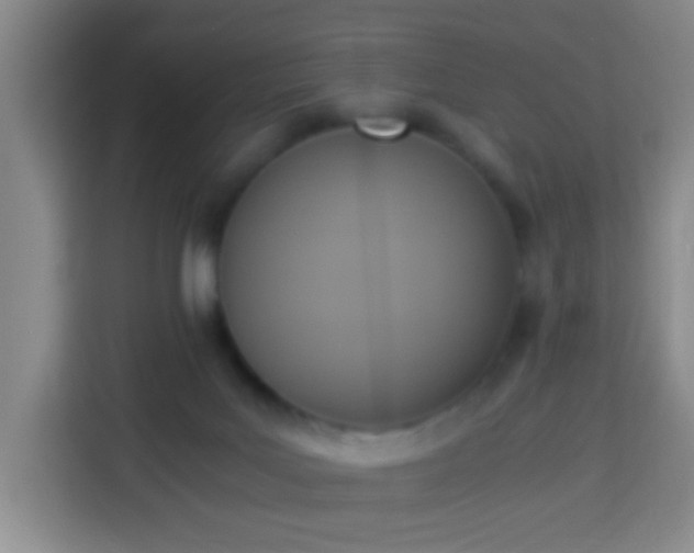 X0000113950027200910021515