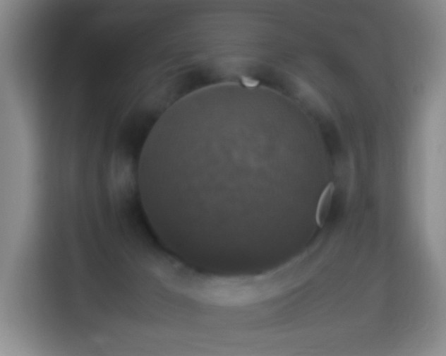 X0000113950029200910021515