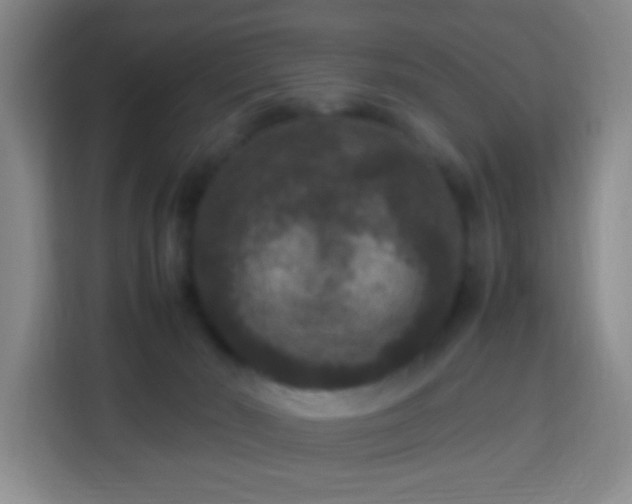 X0000113950030200910021514