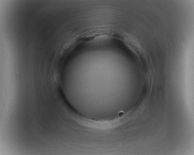 X0000113950031200910021514