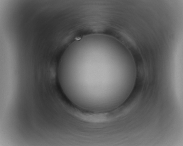 X0000113950032200910021514