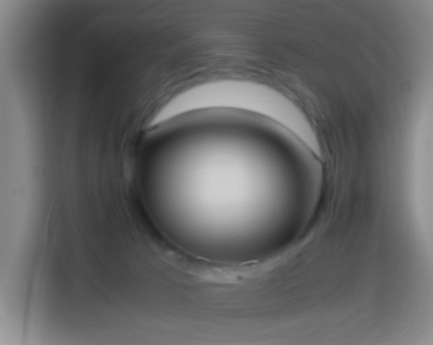 X0000113950033200910021514