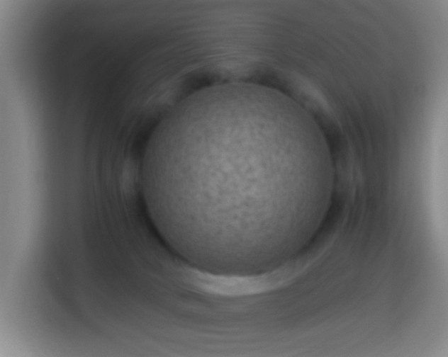X0000113950034200910021514