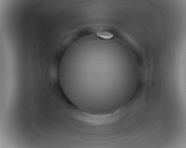 X0000113950035200910021514