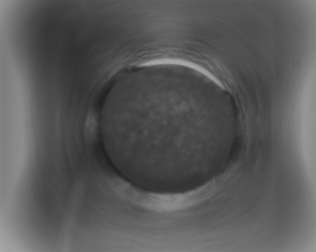 X0000113950037200910021514