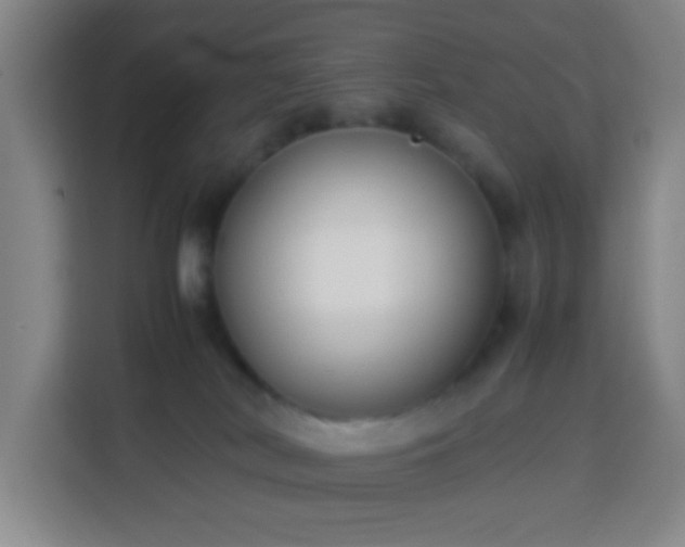 X0000113950038200910021514