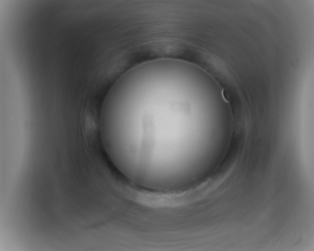 X0000113950040200910021514