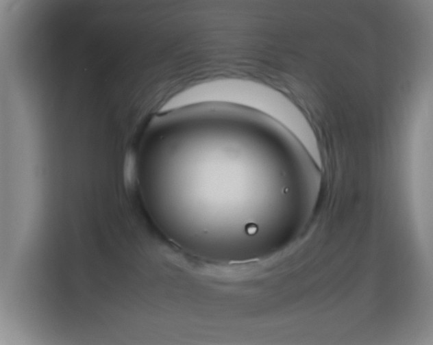 X0000113950041200910021514