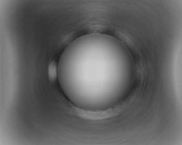 X0000113950042200910021514