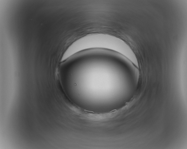 X0000113950045200910021514
